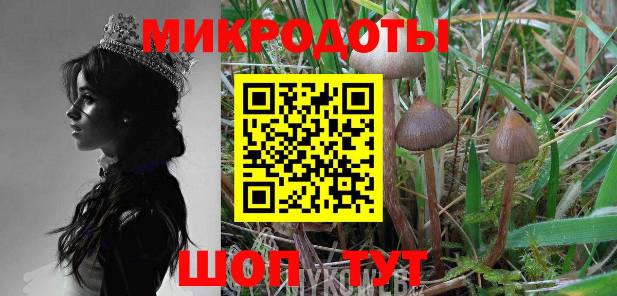 Псилоцибиновые грибы GOLDEN TEACHER Артём