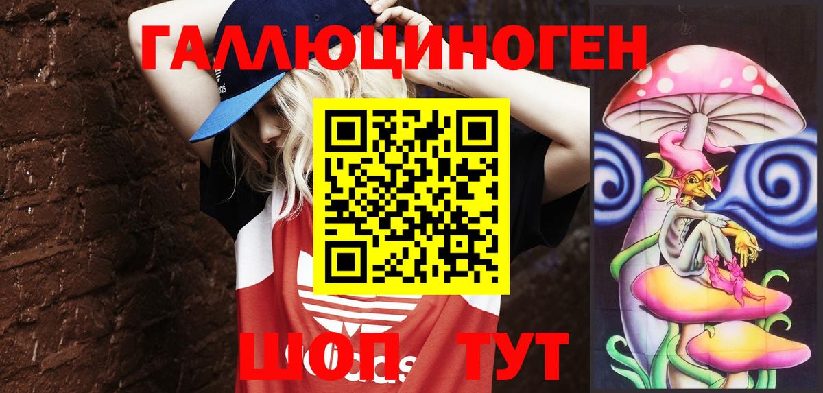 Галлюциногенные грибы MAGIC MUSHROOMS  Псилоцибиновые грибы Psilocybine cubensis  Артём  Вход с VPN 
