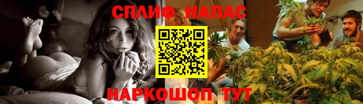 Канабис Bruce Banner  Артём  Канабис сатива 